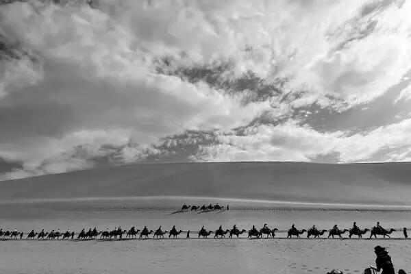 Black and white image of a line of people riding camels across the desert.