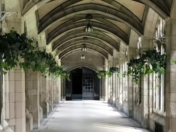 Outdoor walkway at U of T lined with green plant pots