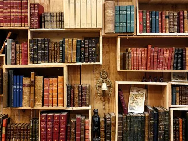 Wooden bookshelves filled with leatherbound books