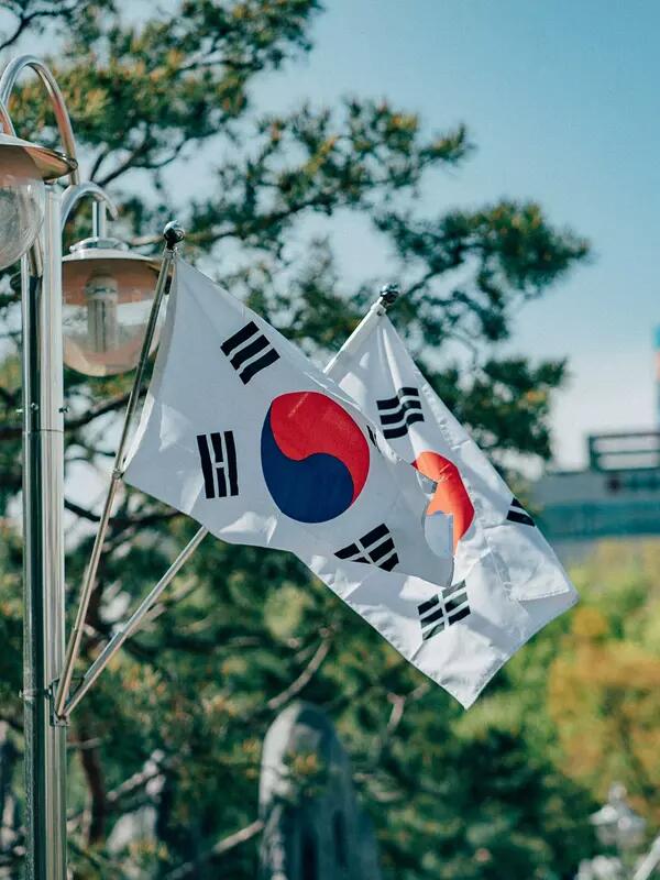 Two South Korean flags on street lights in front of trees and buildings