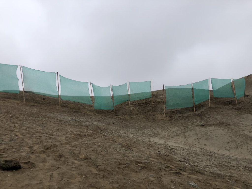 A row of turquoise fog nets blowing on a hillside