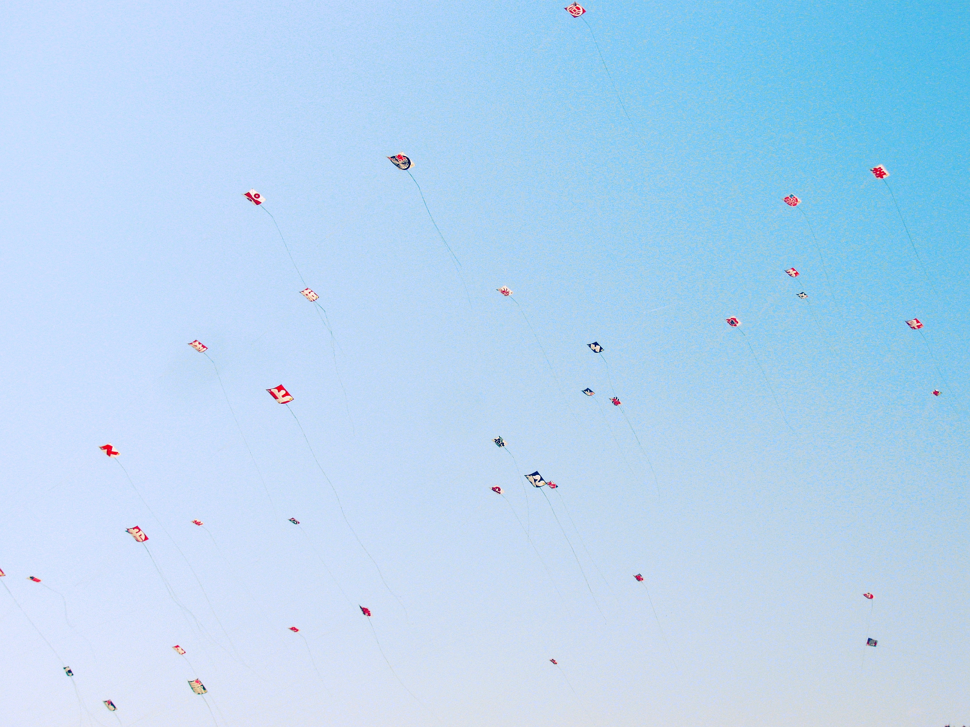 Dozens of bright kites float in the clear blue sky. 