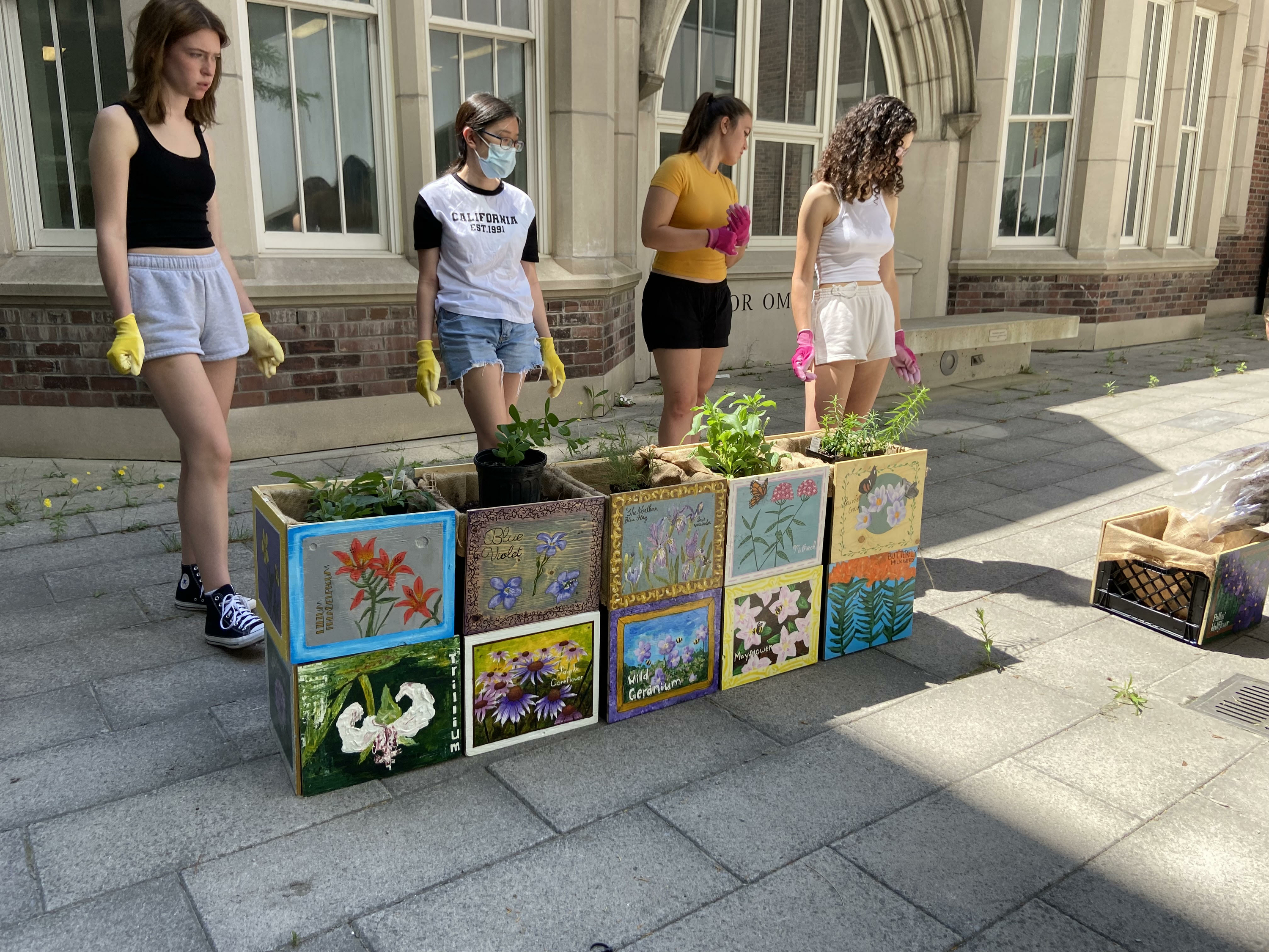 Four women stand in front of five colourful plant boxes