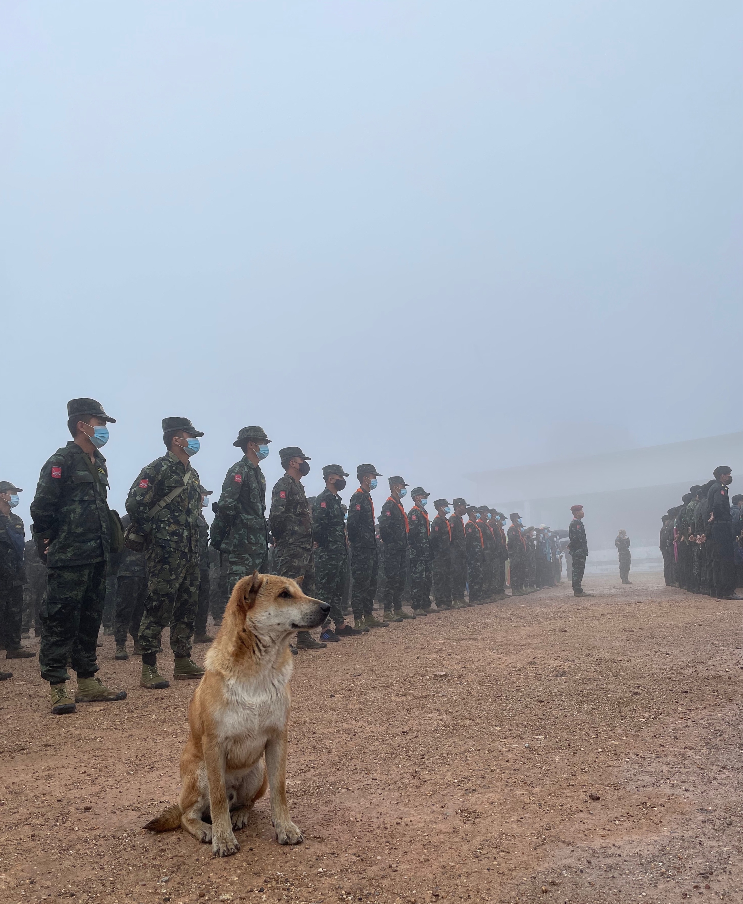 A dog sits in the foreground, with rows of soldiers behind. 