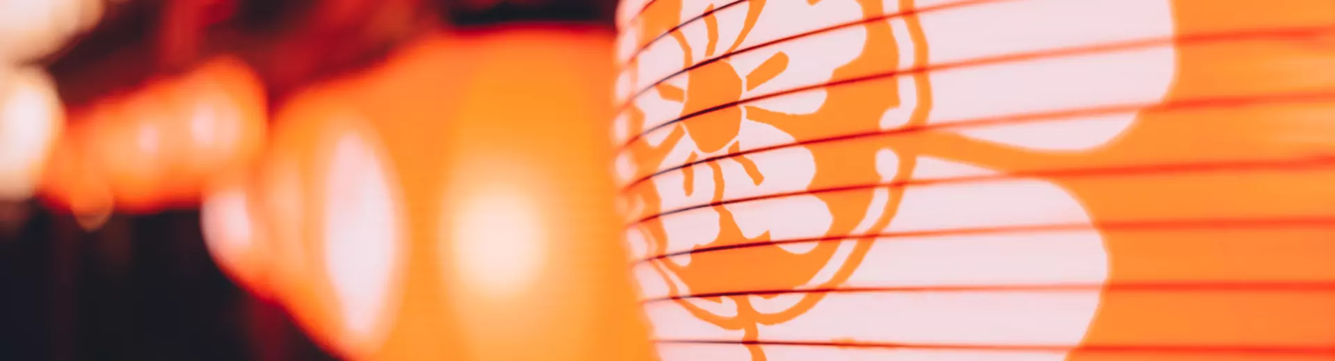Orange paper lantern with white flower decoration