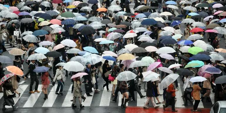 Dozens of people cross a road in Tokyo while carrying umbrellas