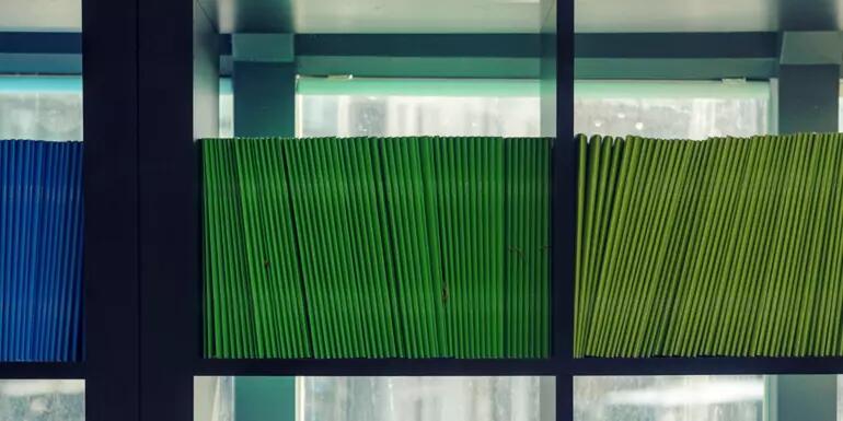 Green, blue, yellow journals line shelves in front of a window