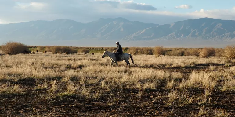 Reach Alliance Mongolia horseback riding