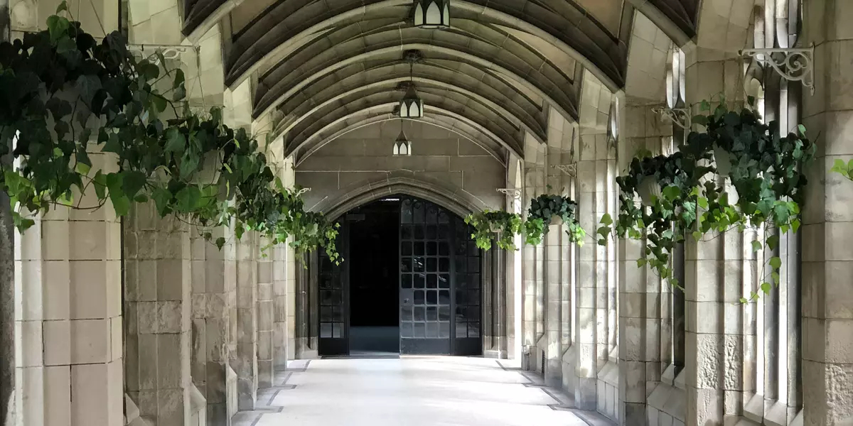 A walkway with stone pillars and planters on either side and large doors at the far end