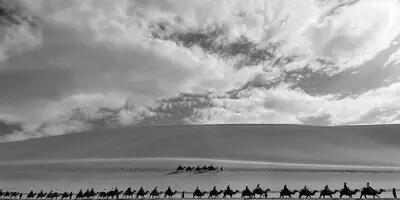 Black and white image of a line of people riding camels across the desert.