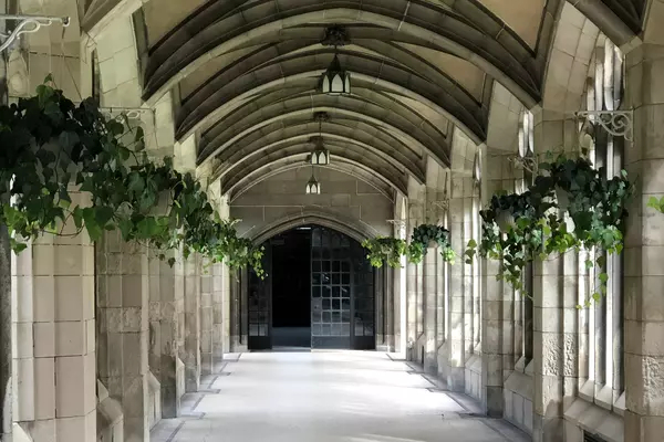 Outdoor walkway at U of T lined with green plant pots