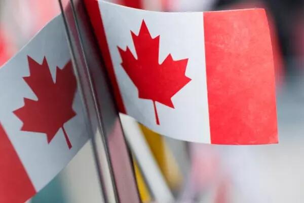 Two small Canadian flags held together, a mirror image