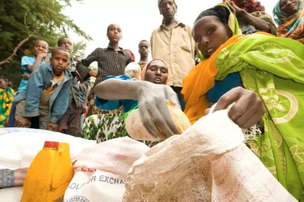 Group of women and children in Ethiopia pack grains
