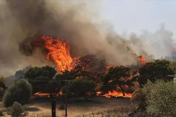 Image of a fire Environmental disaster