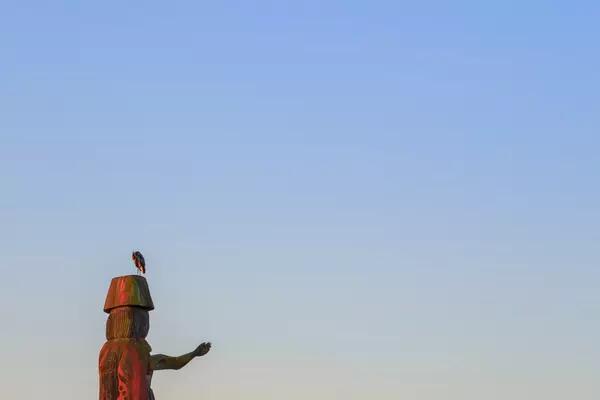 A wooden totem pole with a bird perched atop it backed by a sunset.