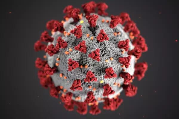 A COVID virus cell
