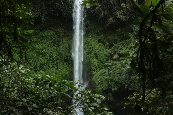A narrow, high waterfall surrounded by lush green forest.