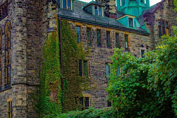 An old stone building at the University of Toronto, covered in ivy.
