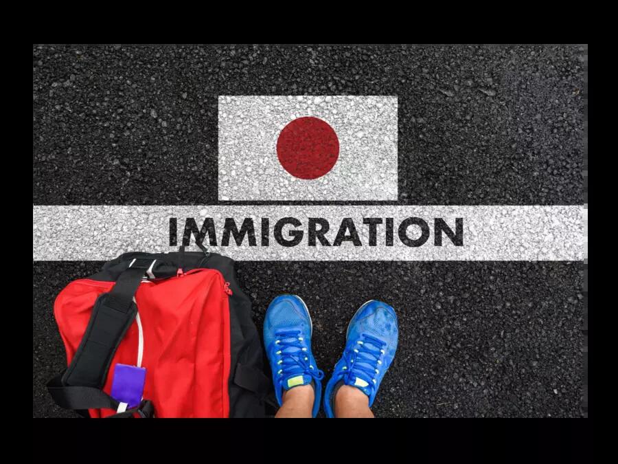 Japanese Flag with "Immigration" text underneath