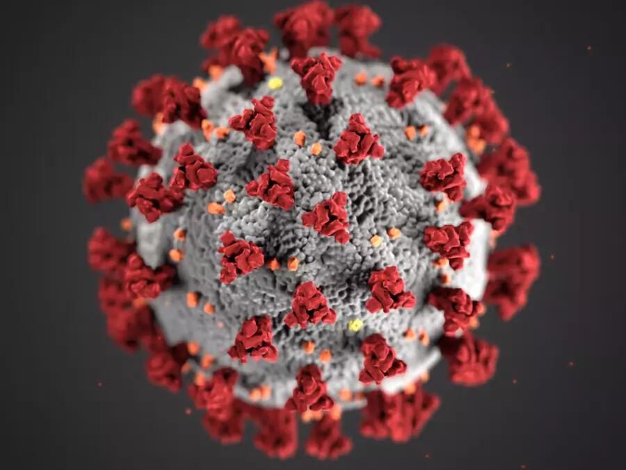 This illustration, created at the Centers for Disease Control and Prevention (CDC), reveals ultrastructural morphology exhibited by coronaviruses. Note the spikes that adorn the outer surface of the virus, which impart the look of a corona surrounding the virion, when viewed electron microscopically. A novel coronavirus, named Severe Acute Respiratory Syndrome coronavirus 2 (SARS-CoV-2), was identified as the cause of an outbreak of respiratory illness first detected in Wuhan, China in 2019. The illness cau