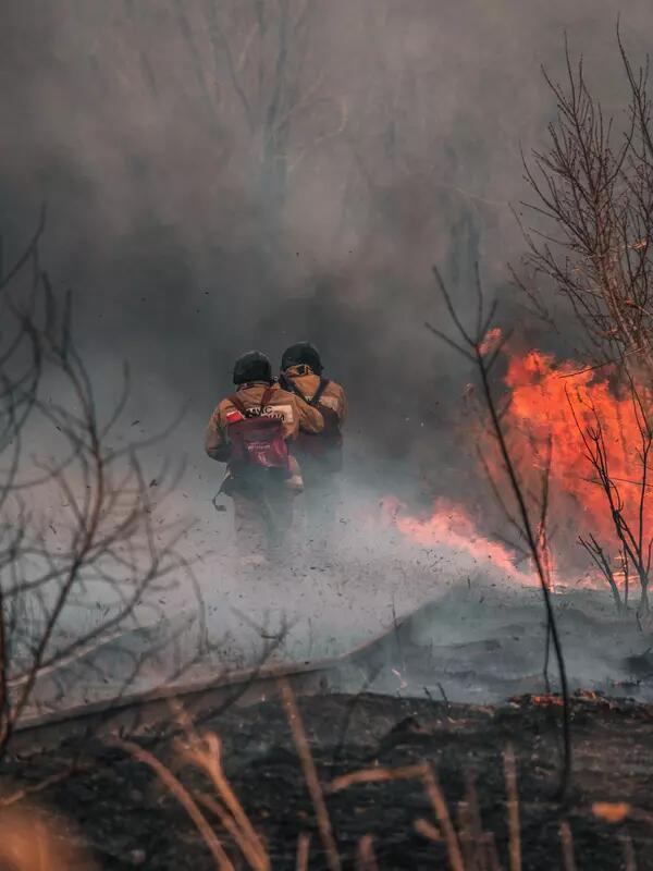 Two firefighters walk through a smoky wood, with fire skirting around the edges.