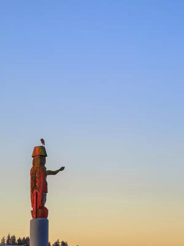 Wooden totem with a bird perched atop it backed by a sunset.