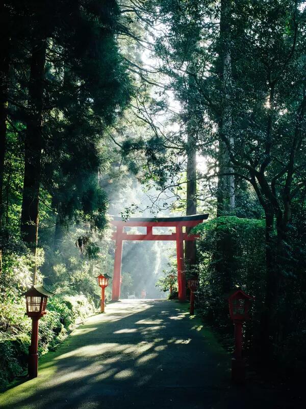 A red Japanese arch standing on a shady forest path.