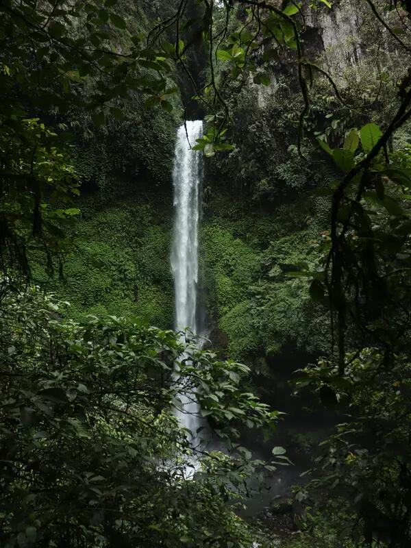 A narrow, high waterfall surrounded by lush green forest.