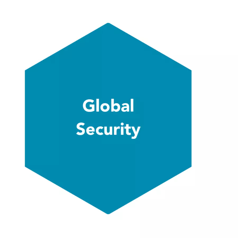 Global security pillar