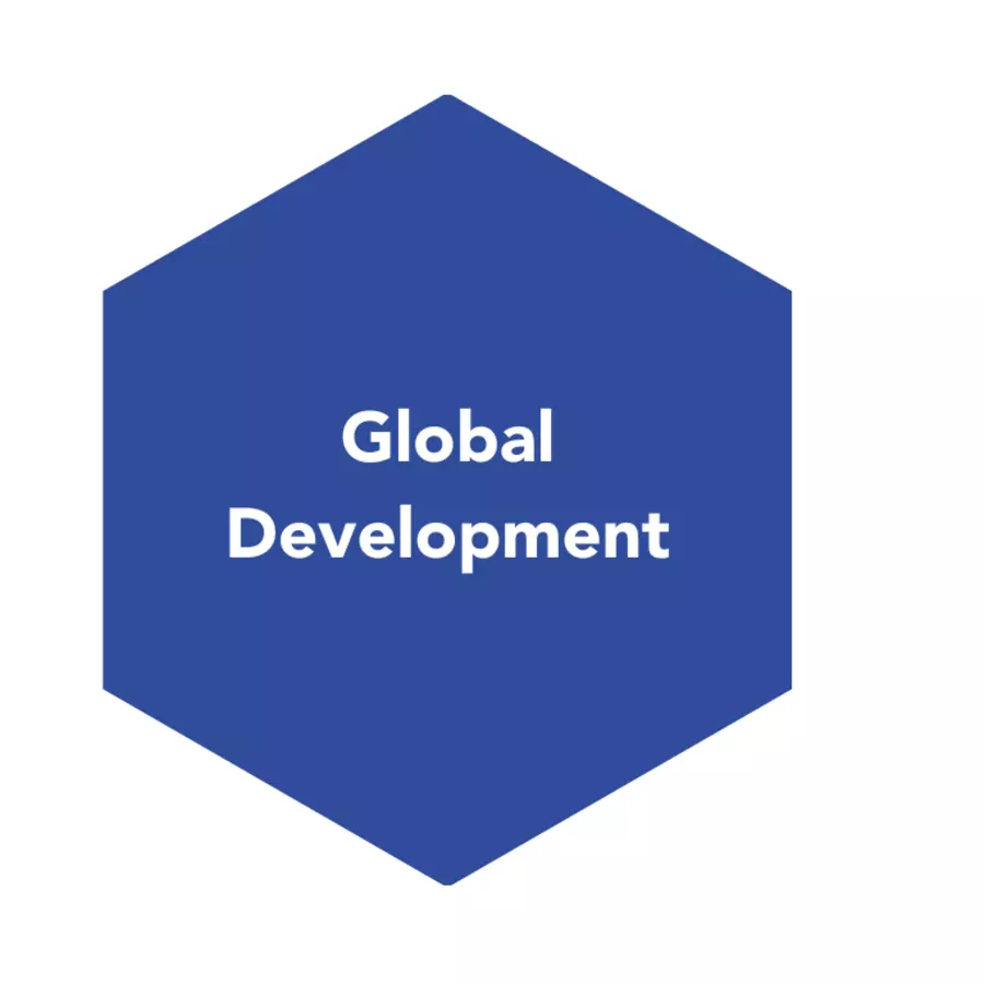 Global development pillar