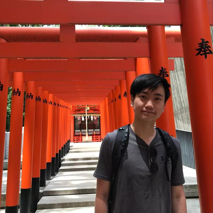 Man in gray t-shirt standing in front of Japanese red tori gates 